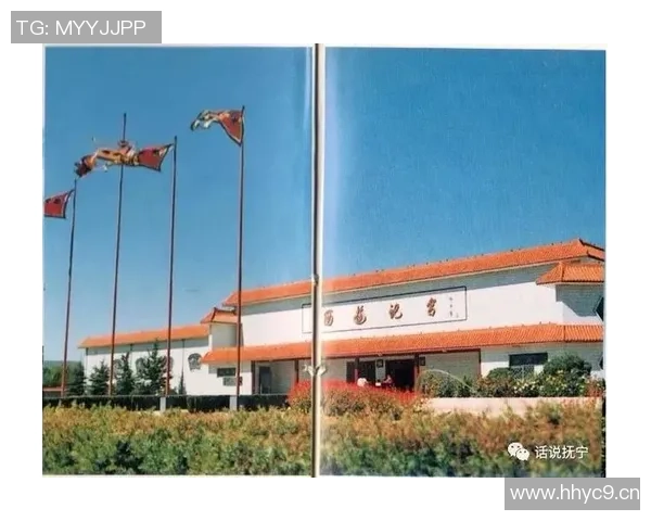 深度对话杨伟讲述他在排球场上的奋斗与成长故事